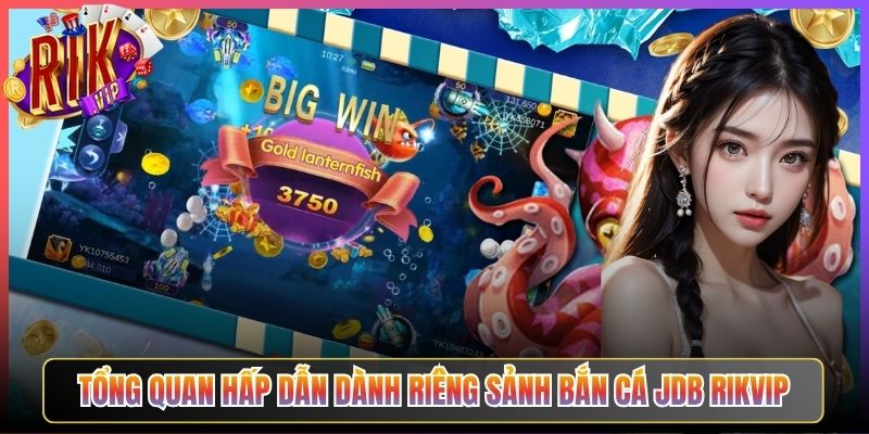 Tổng Quan Hấp Dẫn Dành Riêng Sảnh Bắn Cá Jdb Rikvip