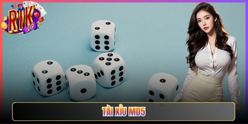 Chơi Tài Xỉu MD5 Rikvip Minh Bạch Tuyệt Đối