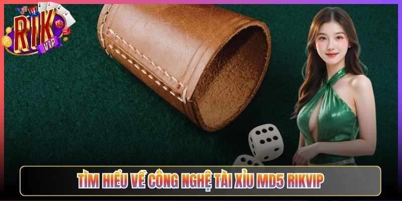 Tìm Hiểu Về Công Nghệ Tài Xỉu MD5 Rikvip