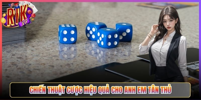 Chiến Thuật Cược Hiệu Quả Cho Anh Em Tân Thủ
