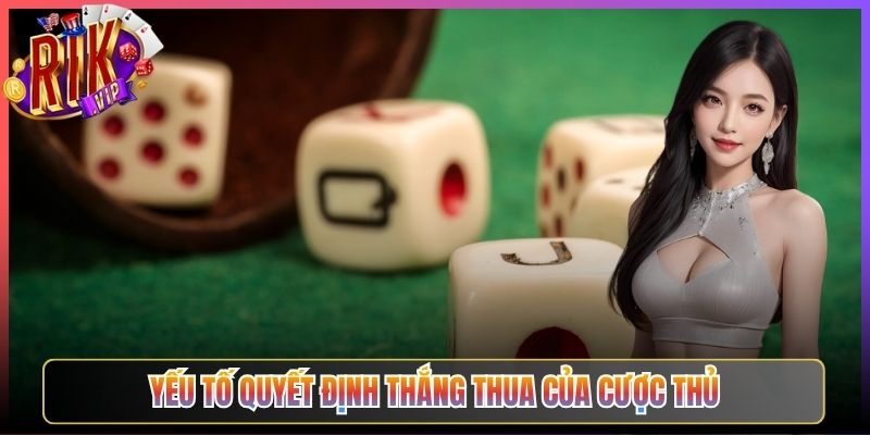 Yếu Tố Quyết Định Thắng Thua Của Cược Thủ